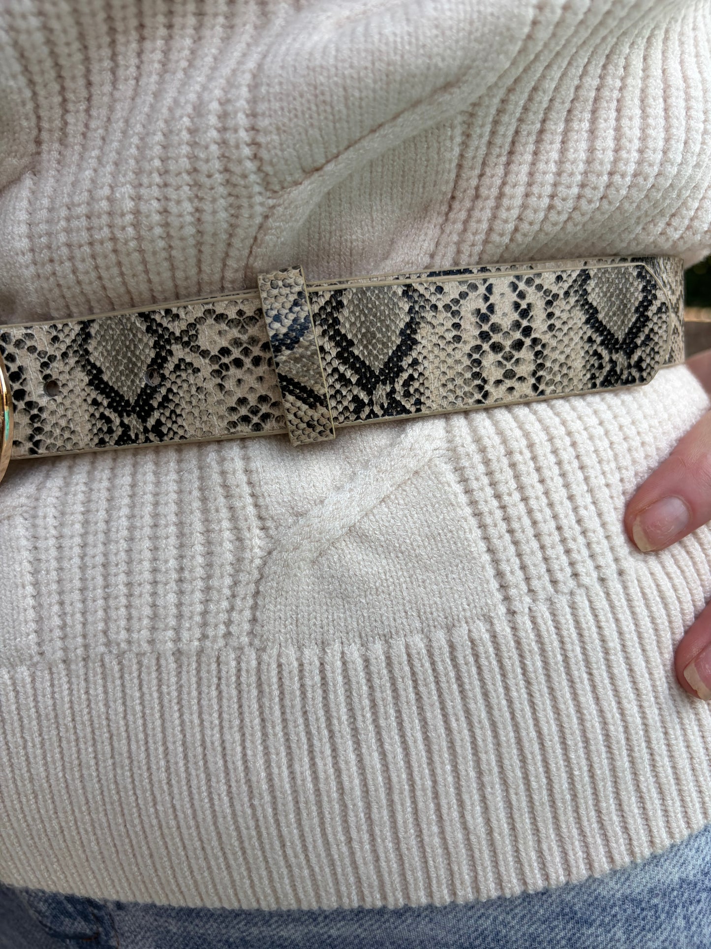 Snake Print Belt