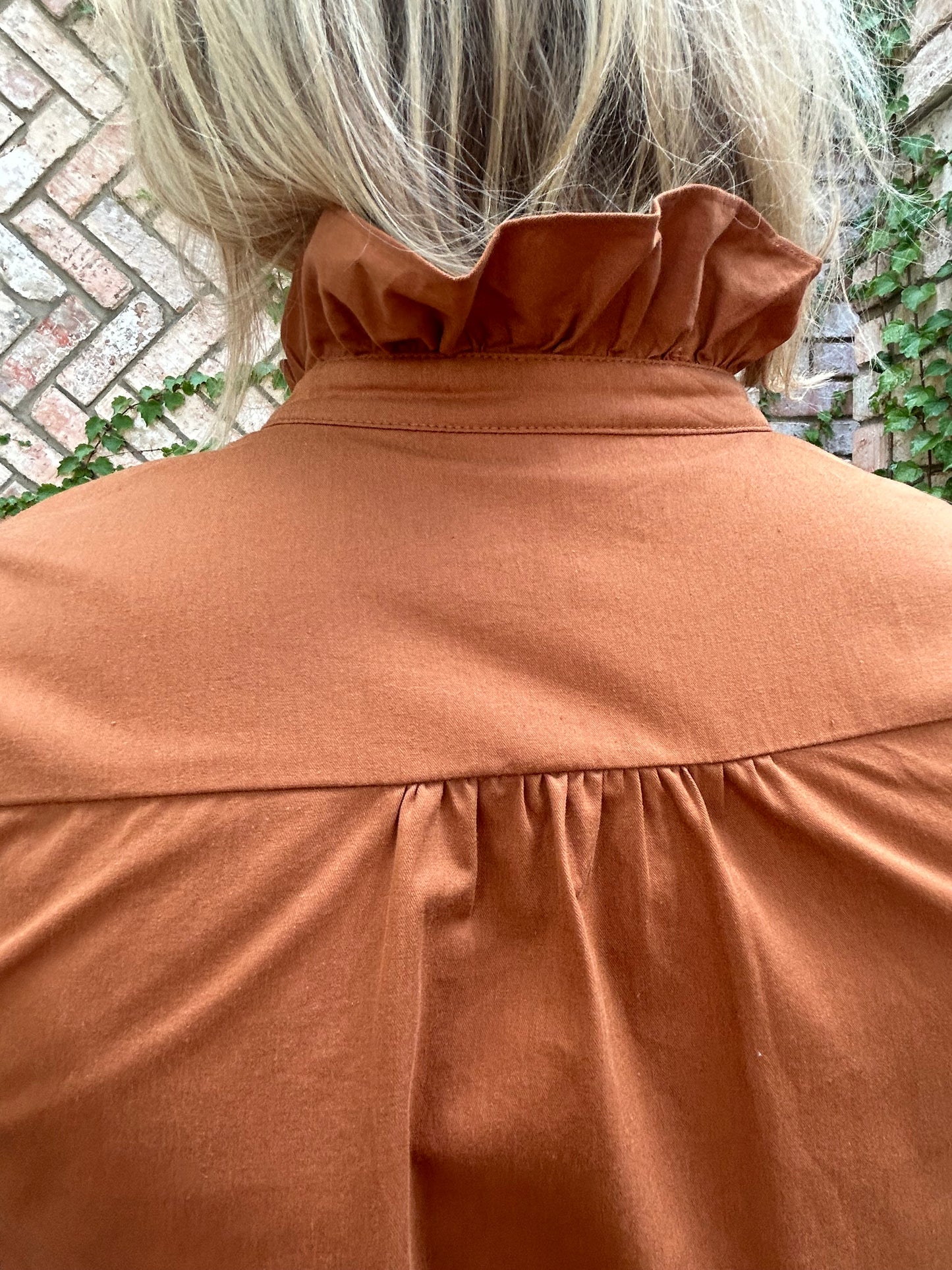Calista Chestnut Blouse