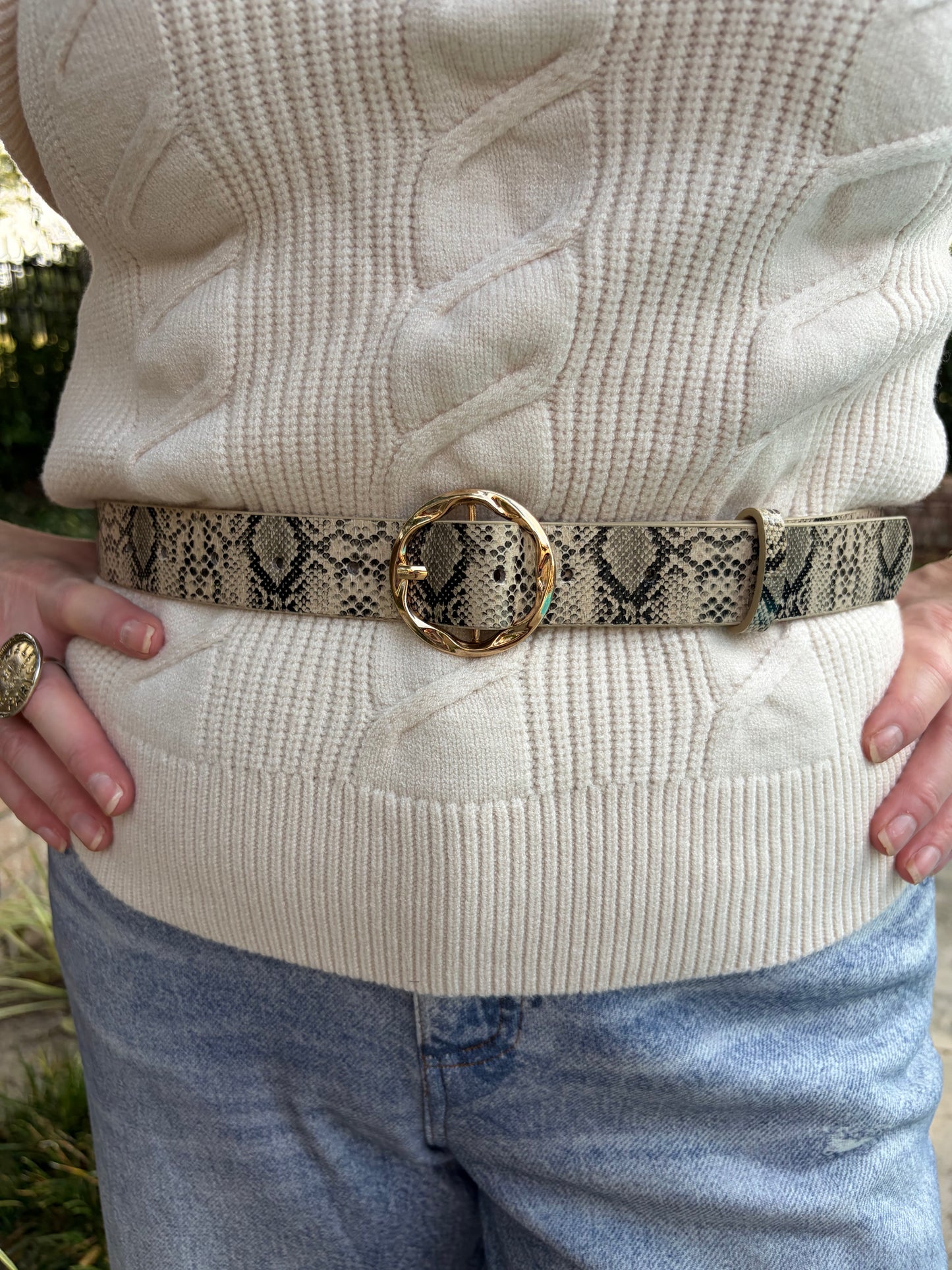 Snake Print Belt