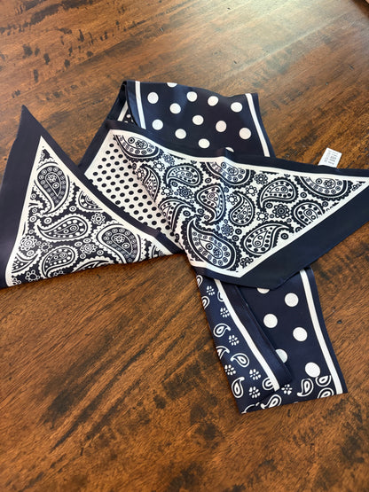 Polka Dot & Paisley Scarf