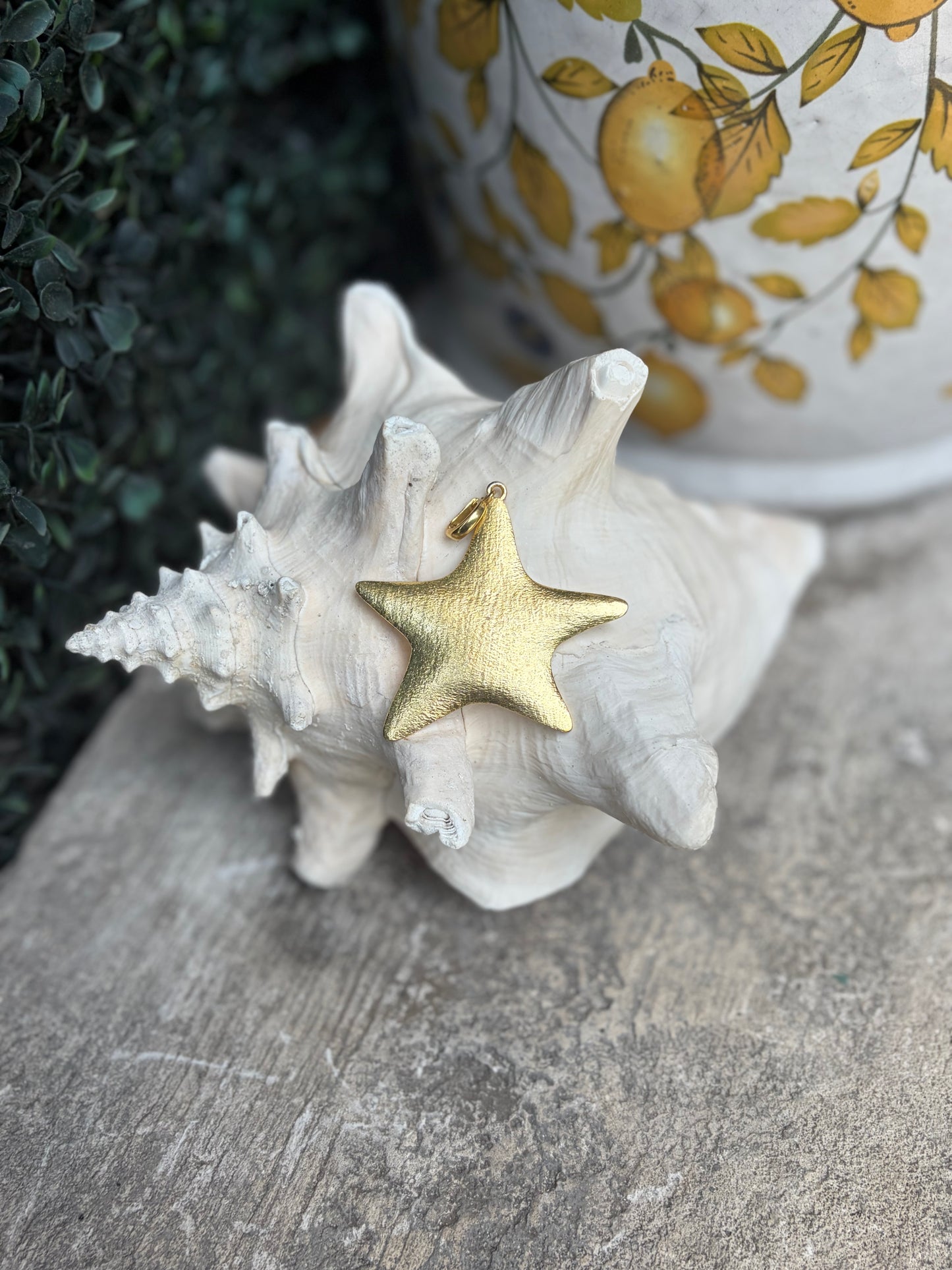 Wish Upon a Star Charm