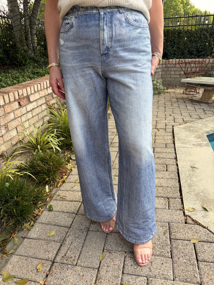 Denim Dream French Terry Jean